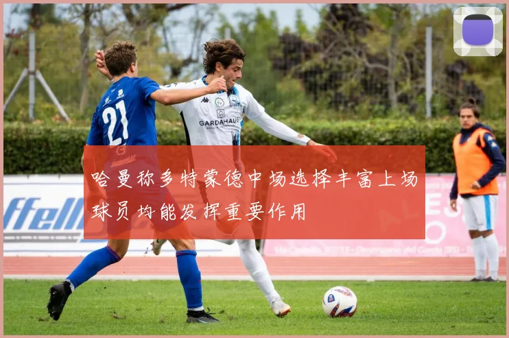 哈曼称多特蒙德中场选择丰富上场球员均能发挥重要作用