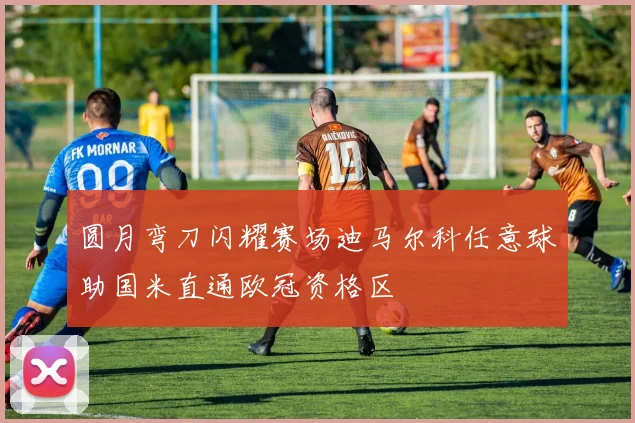 圆月弯刀闪耀赛场迪马尔科任意球助国米直通欧冠资格区