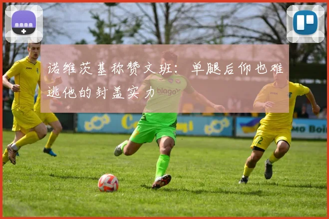 诺维茨基称赞文班：单腿后仰也难逃他的封盖实力