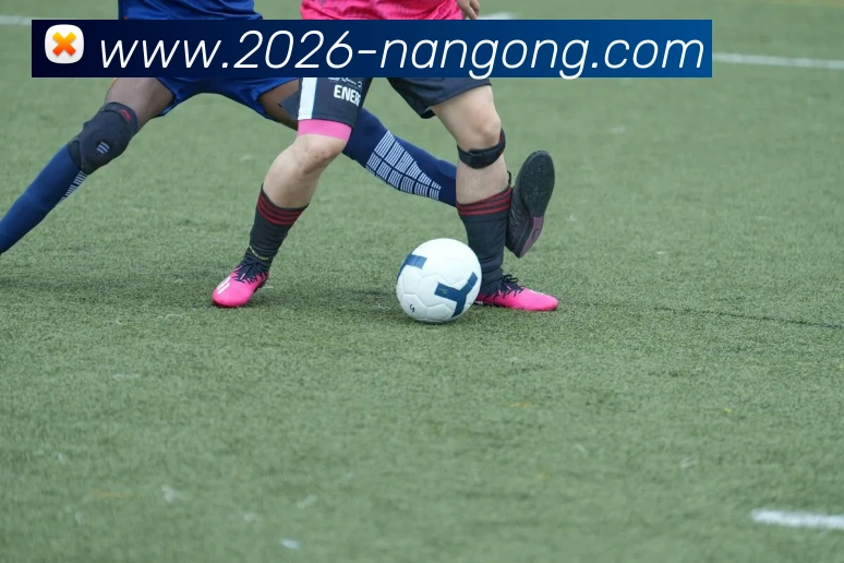 App Interface Preview