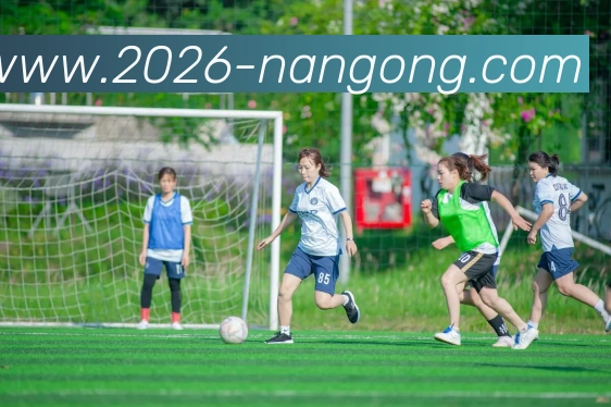 南宫体育APP 封面图