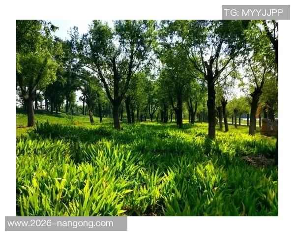 奥特古德温刻苦训练成效显著期待他未来更精彩的表现